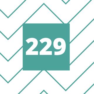 Avsnitt 229 - Nyårsavsnitt del 2 - feat. Karl-Mikael Syding