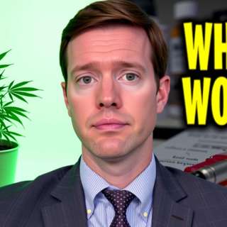 The Broken Drug System That's Worse Than Prohibition
