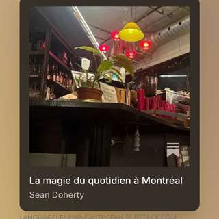 11 - La Magie Multilingue à Montréal (français)