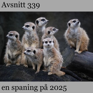 en spaning på 2026 – #339