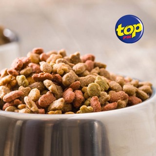 Aliments pour animaux : « Nourrir plus de 200 chiens errants peut coûter jusqu'à Rs 125 000 par mois », martèle Abeenesh Mottay