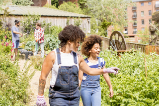Adventures in Agritourism