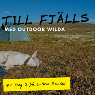 #7: Solsken vid Rödfjället i Funäsfjällen, dag 3 på Gröna Bandet