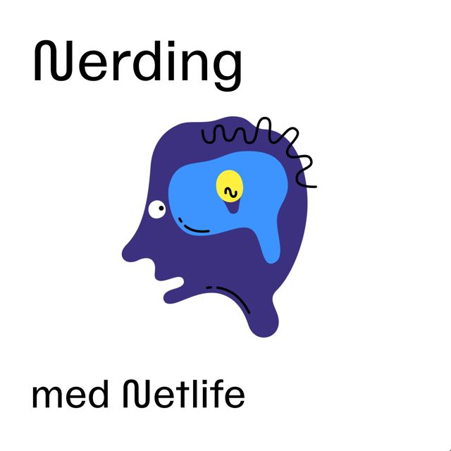 rss-nerding-med-netlife