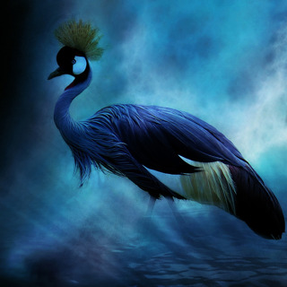 133 - Restoring Wonder: Hongzhi's Guidepost of Silent Illumination - Part 2