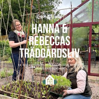 Avsnitt 133 – Växtstöd och rabattkanter