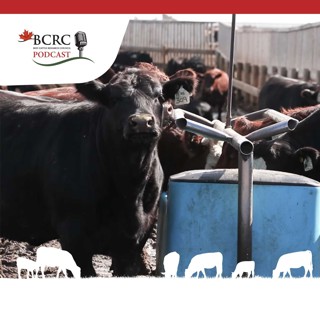Episode 3: Fast Action at the Watering Hole