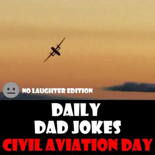 [No Laughter Version] International Civil Aviation Day! 33 dad jokes that'll make you soar! 07 December 2025