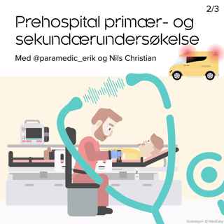 Prehospital primær- og sekundærundersøkelse