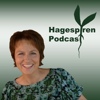 Enkle stier i hagen og tips til vertinnegave
