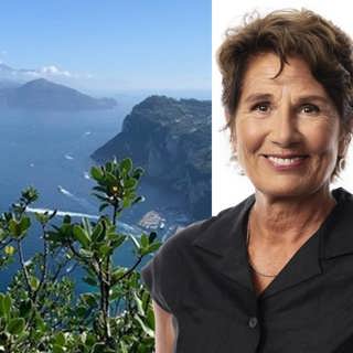 Flyttar människor som fåglarna: Alice Petrén, Capri