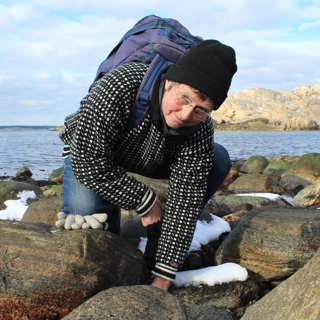 Klimatet sätter evolutionen på prov
