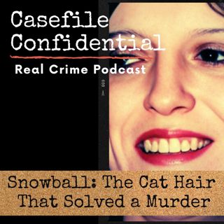 Snowball: The Cat Hair That Solved a Murder