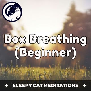 Box-Breathing Meditation (Beginner Version)