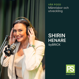 Shirin Henare, Managementkonsult ByBrick