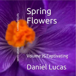 Spring Flowers Volume 25 Captivating by Daniel Lucas