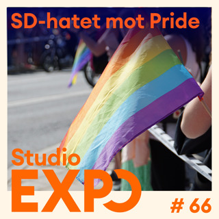 66. SD-hatet mot Pride