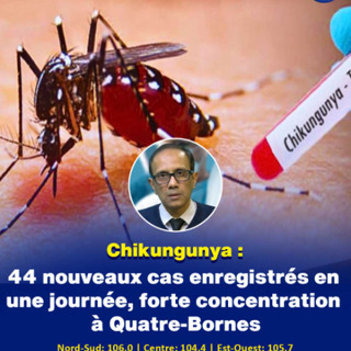 Chikungunya : 44 nouveaux cas enregistrés en une journée, forte concentration à Quatre-Bornes