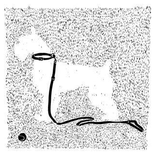 Off Leash