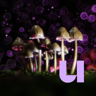 586. Kan microdosing je echt gelukkiger maken?