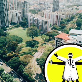 Secrets of sustainable cities