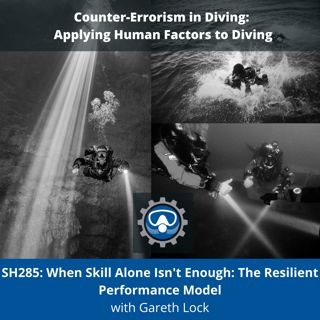SH285: When Skill Alone Isn't Enough: The Resilient Performance Model