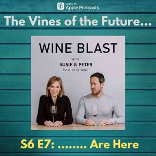 The Vines of the Future...Are Here