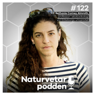 #122 Bethanie Carney Almroth – Mikroplaster finns i våra kroppar