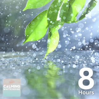 Soft Rain on Leaves (8 Hours) | Gentle Rain White Noise for Sleep and Deep Relaxation