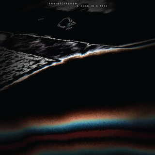 A Duck in a Tree 2025-11-08 | Blue Whirling