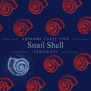 42. Snail Shell