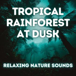 9 Hour Nature Sounds - Tropical Rainforest at Dusk — Immersive Jungle Sleep Sounds