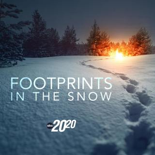 Footprints in the Snow