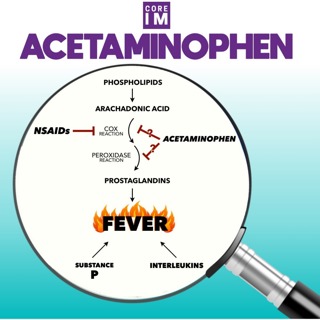 #30 Acetaminophen/Fevers Pathophysiology and Patient Outcomes: Mind the Gap Segment