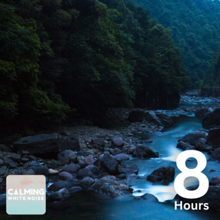 Cricket Sounds + Small Creek (8 Hours) | Water Sounds for Focus
