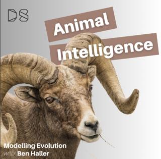 Modelling Evolution