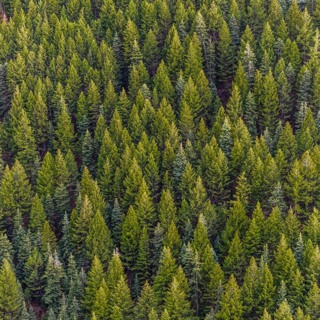 Episode 225: The 2016 Horse River Wildfire