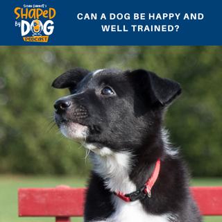 Can a Dog be Happy and Well Trained? #43