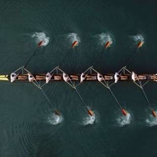 LNAH/ The Harvard Boat to Mexico/Tease