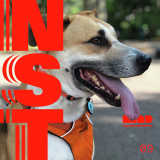 Are suburban dogs happier than city dogs? (Remastered)