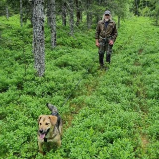 Ettersøk, hunder og elgjakt med Svein Helge Skarland