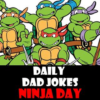 International Ninja Day! Stealthy dad jokes! 05 December 2024