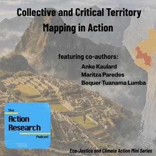 Collective and Critical Territory Mapping in Action