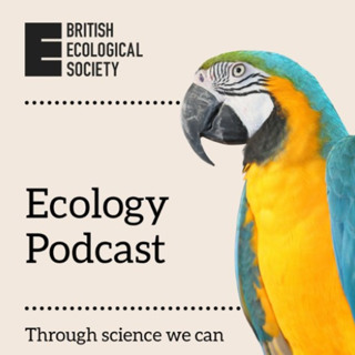 Spots or stripes? Identifying Individual Animals Based on their Patterns | The Story Behind the Paper