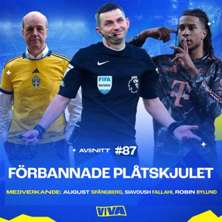 #87 - Förbannade plåtskjulet