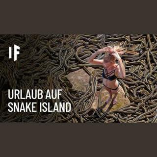 Was wäre, wenn du einen Monat auf Snake Island verbringst?