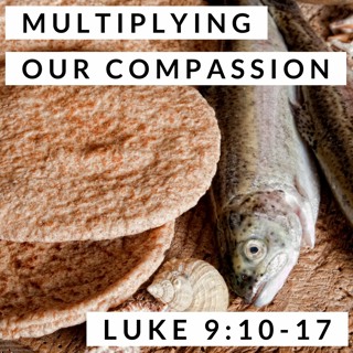Multiplying Our Compassion; Luke 9:10-17