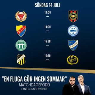 En fluga gör ingen sommar (söndag)