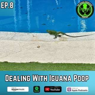 Dealing with Iguana Poop: Tips for Homeowners, Schools, and Boat Owners