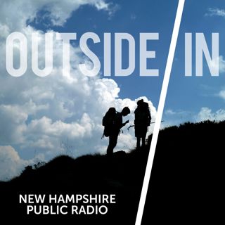 Welcome to Outside/In!
